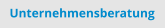 Unternehmensberatung