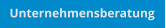 Unternehmensberatung